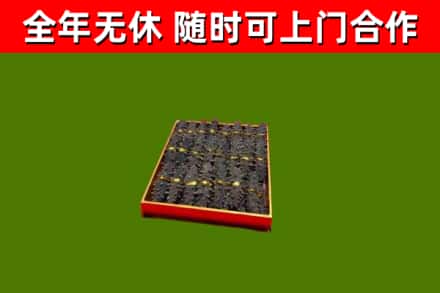 钦州回收海参